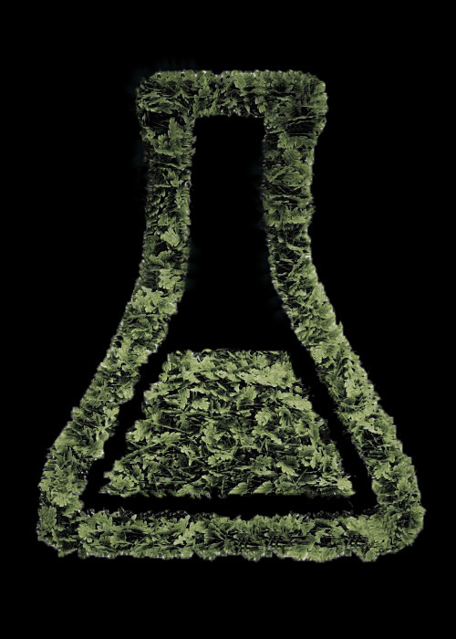 Green-Chemistry-1.jpg